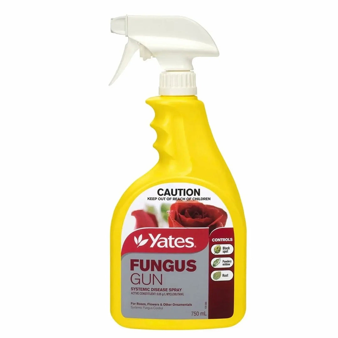 Yates Fungus Gun for the removal of plant diseases