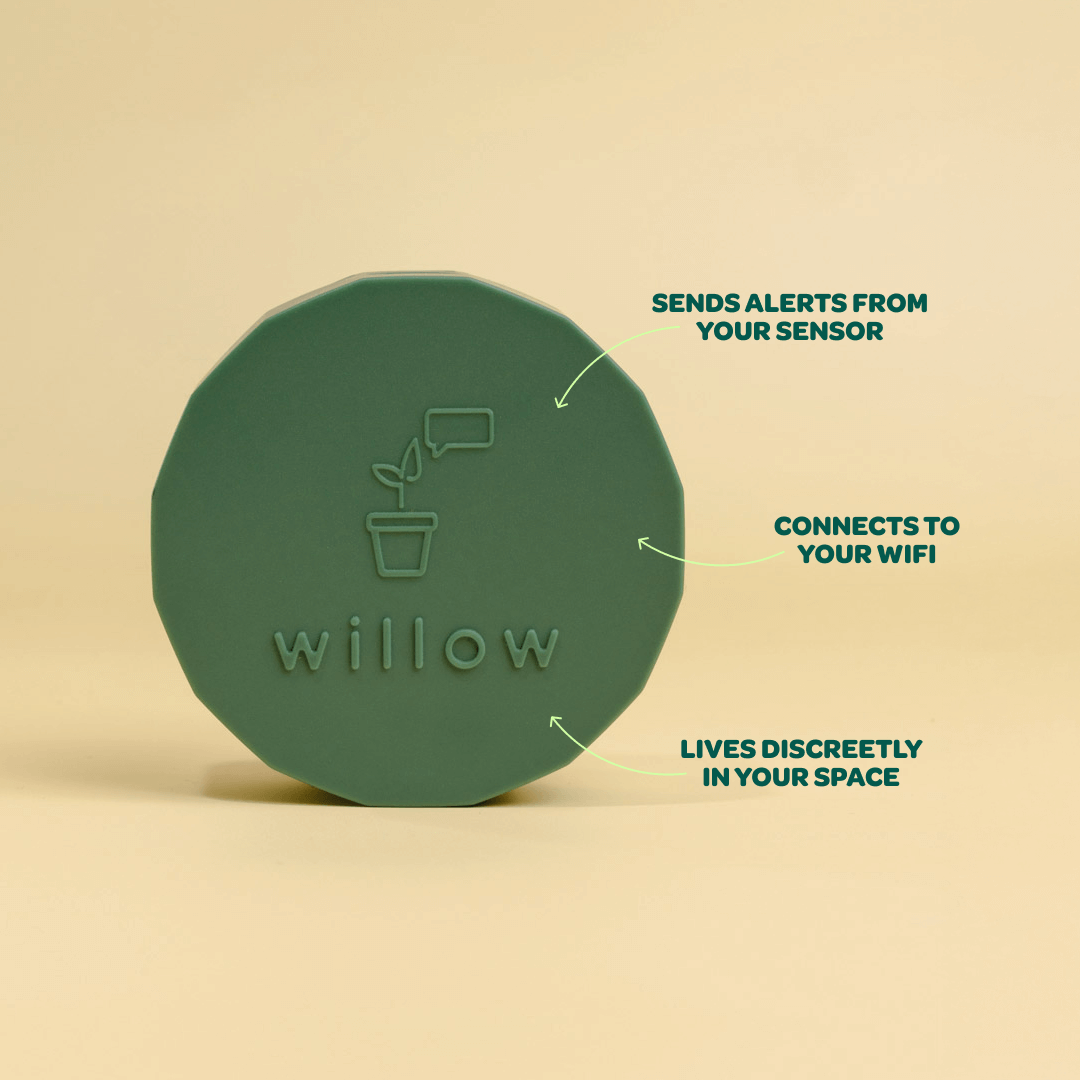 Willow WiFi-Enabled Hub