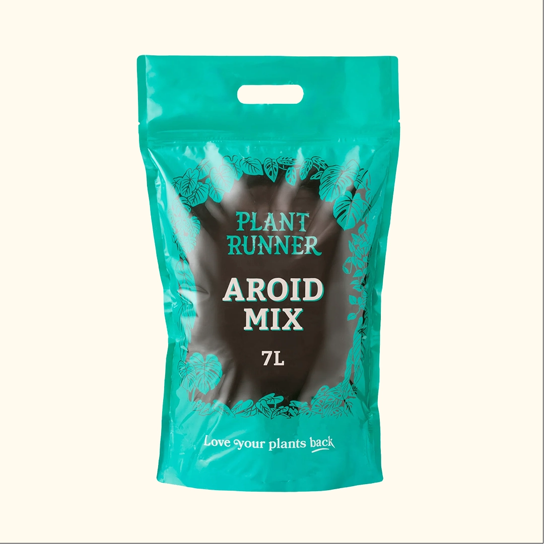 Aroid Potting Mix