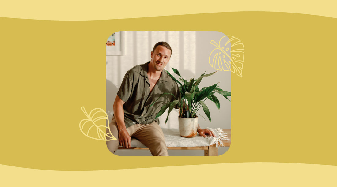 How the autumn season affects your houseplants