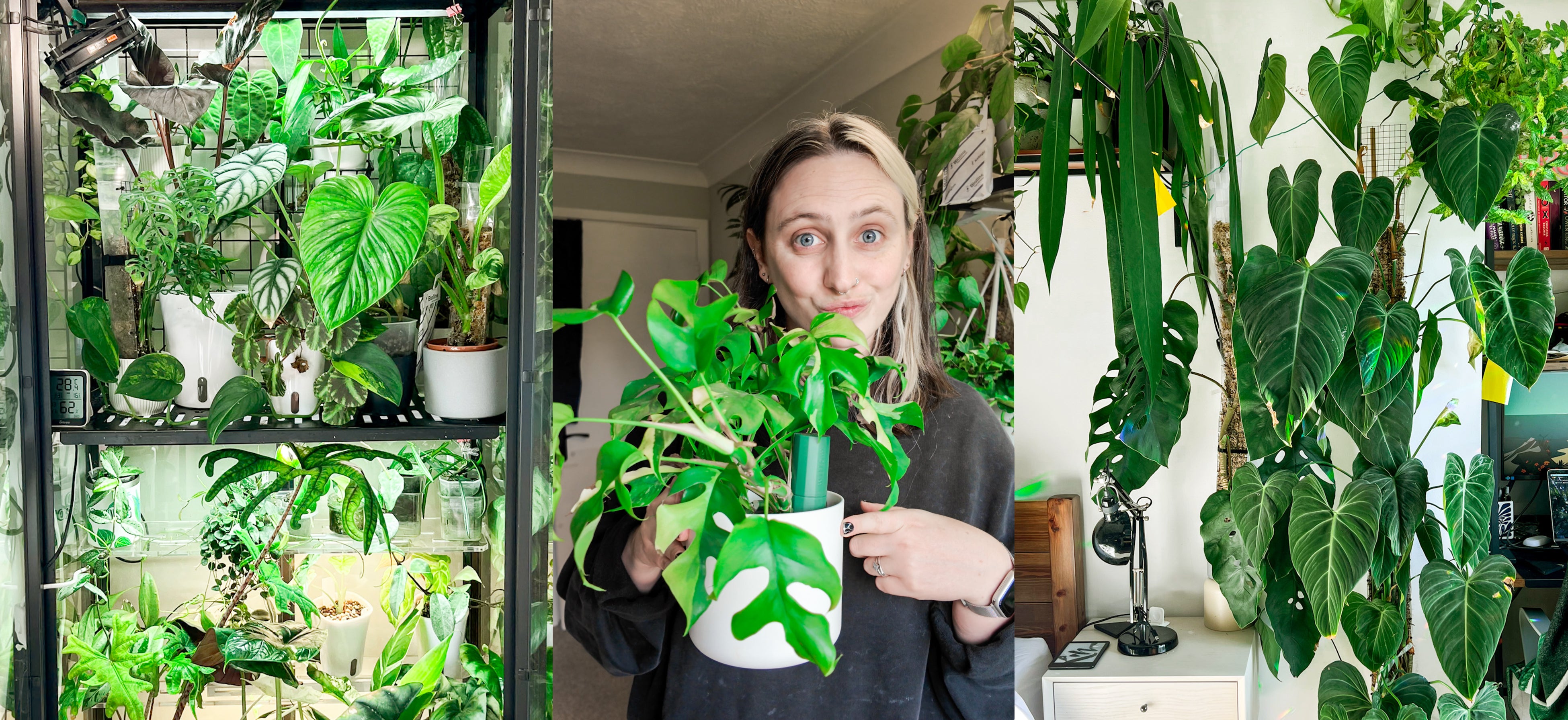 Meet our friend Emma: A Q&A with content creator Good Growing – PW ...