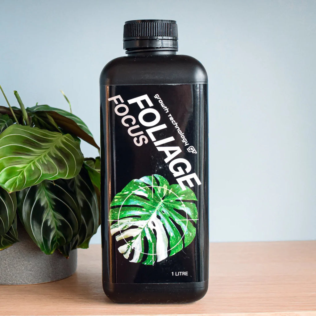 Foliage Focus 1L