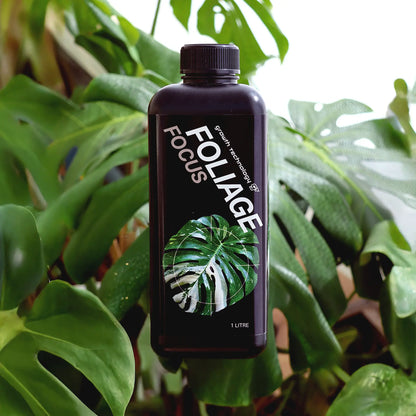 Foliage Focus 1L