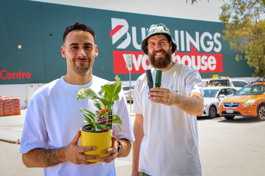 Willow lands national agreements with Bunnings