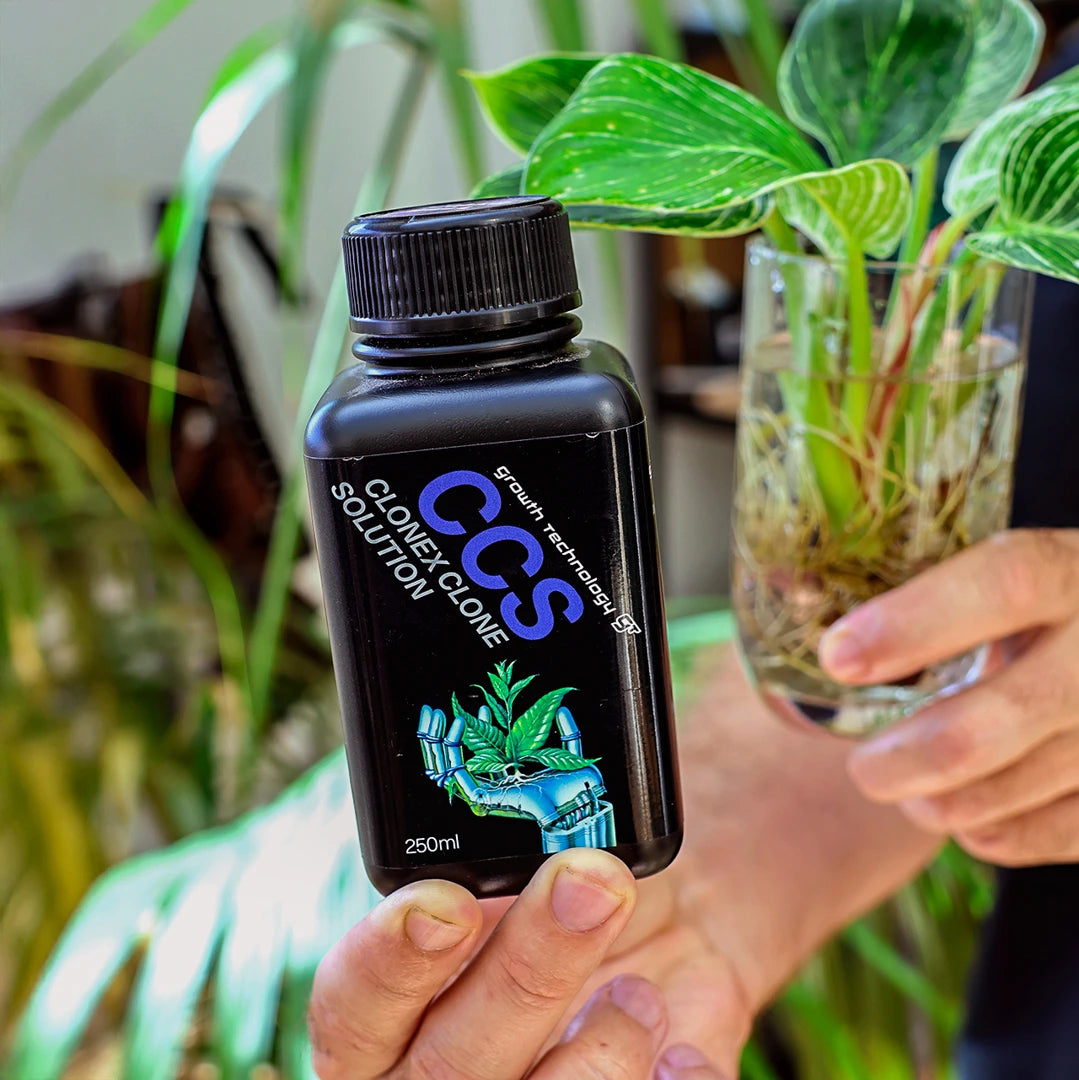 A hand holding a bottle of clonex solution next to cuttings for propagating