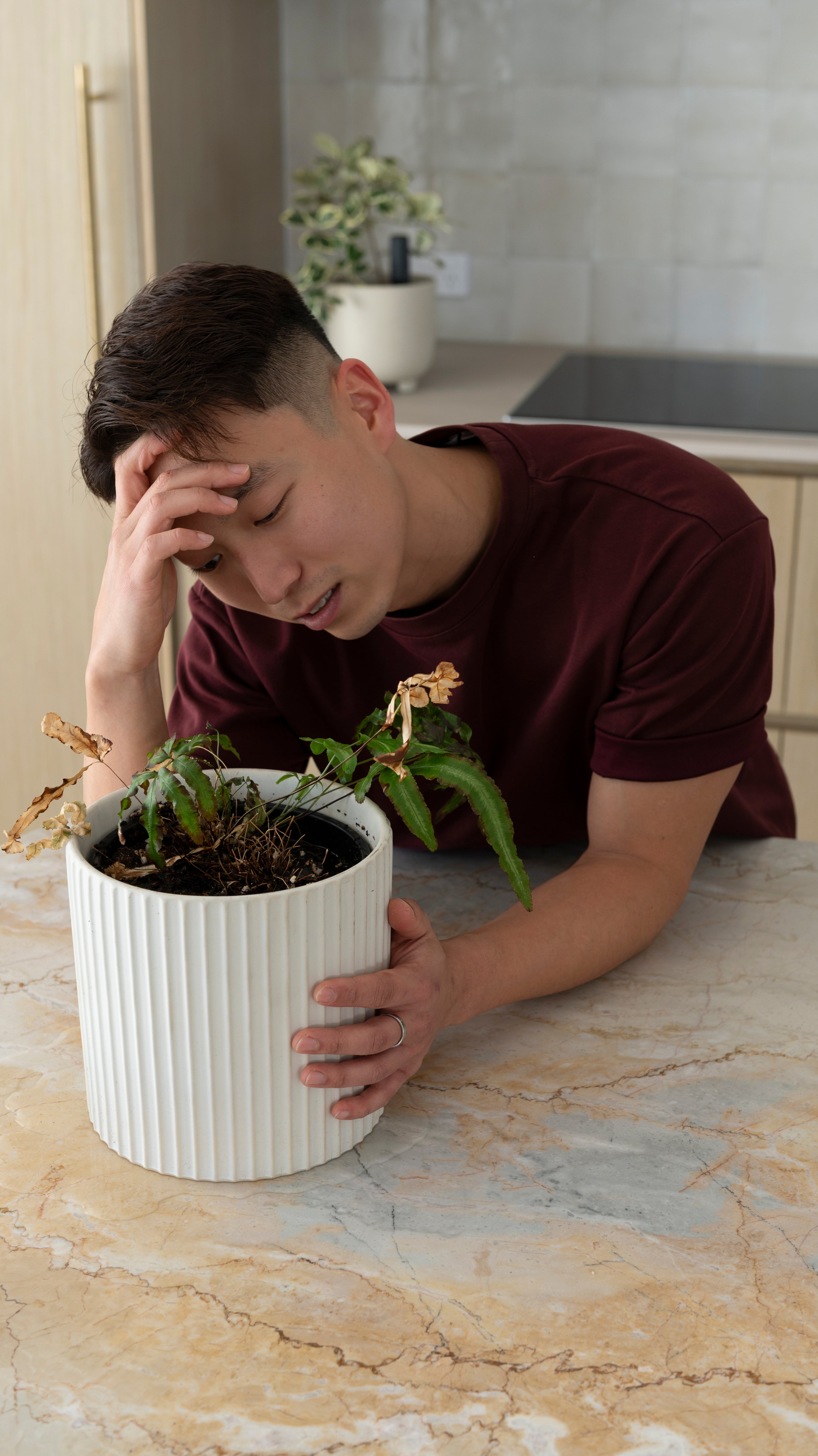 frustrated plant owner