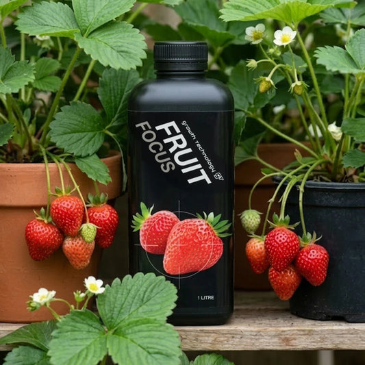 Fruit Focus 1L