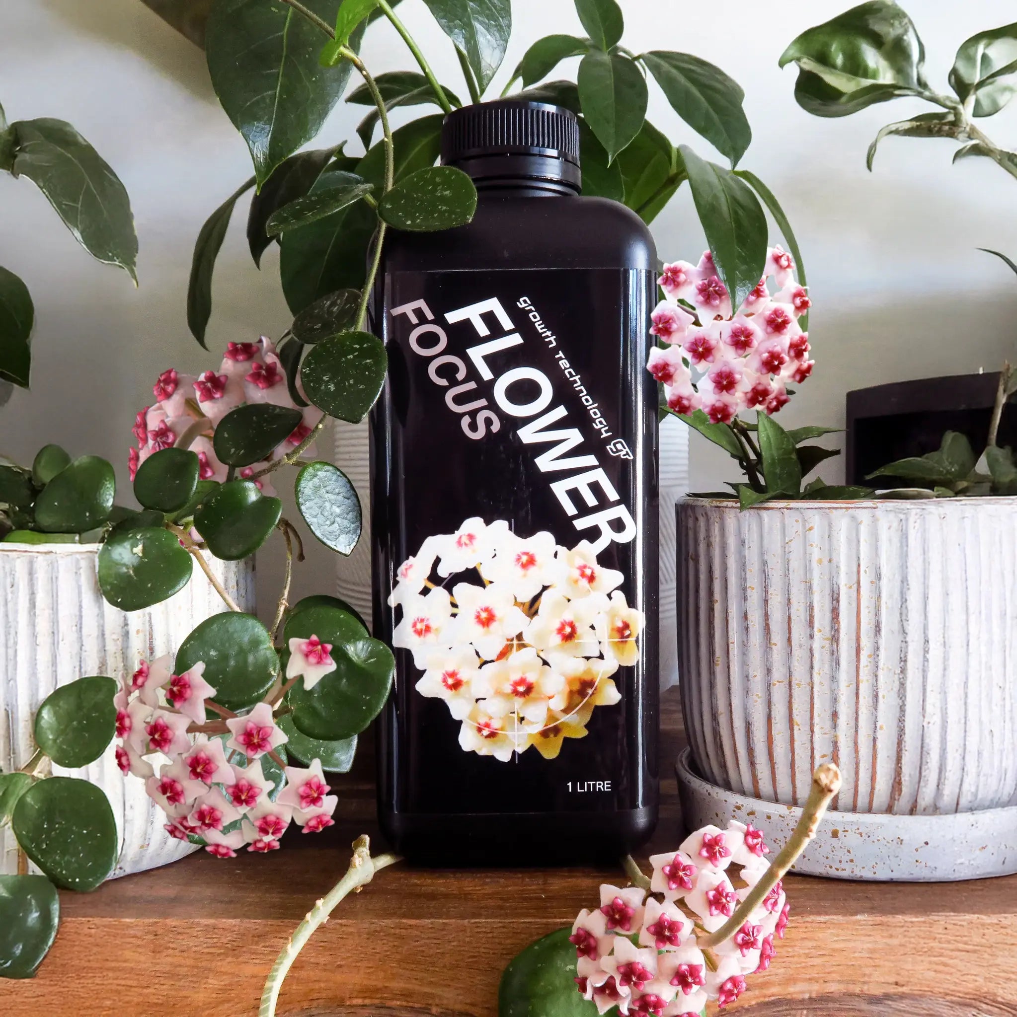 1L bottle of Flower Focus fertiliser