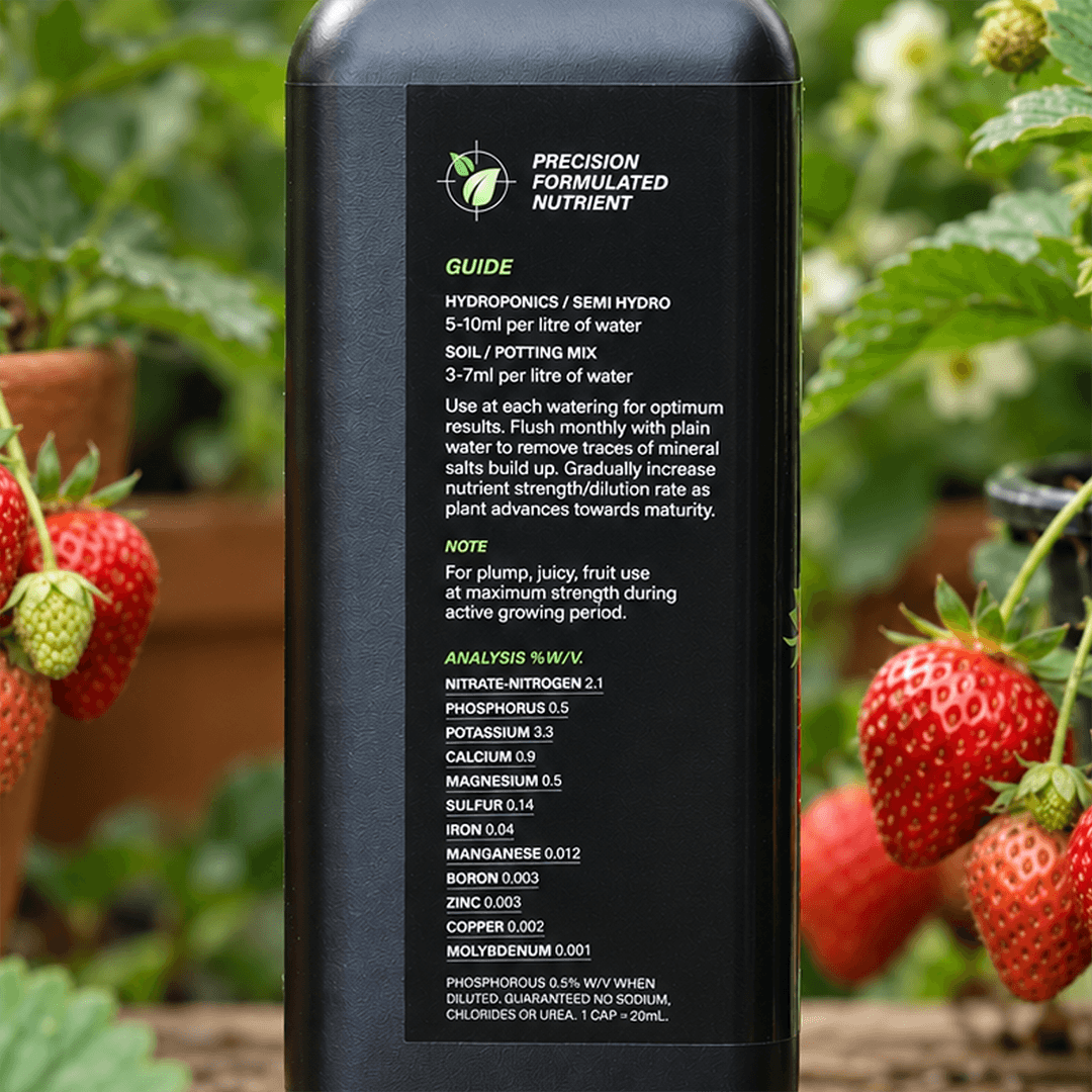 Fruit Focus 1L