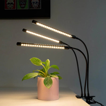 Gathera Grow Light shining on a Philodendron Birkin