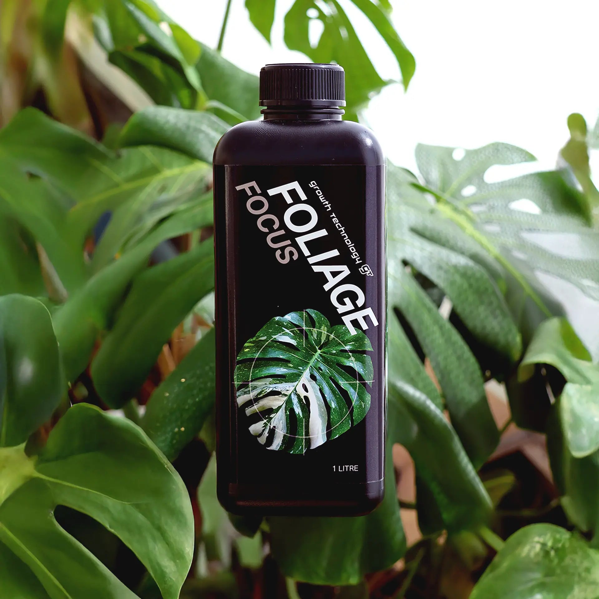 1L bottle of GT Foliage Focus 