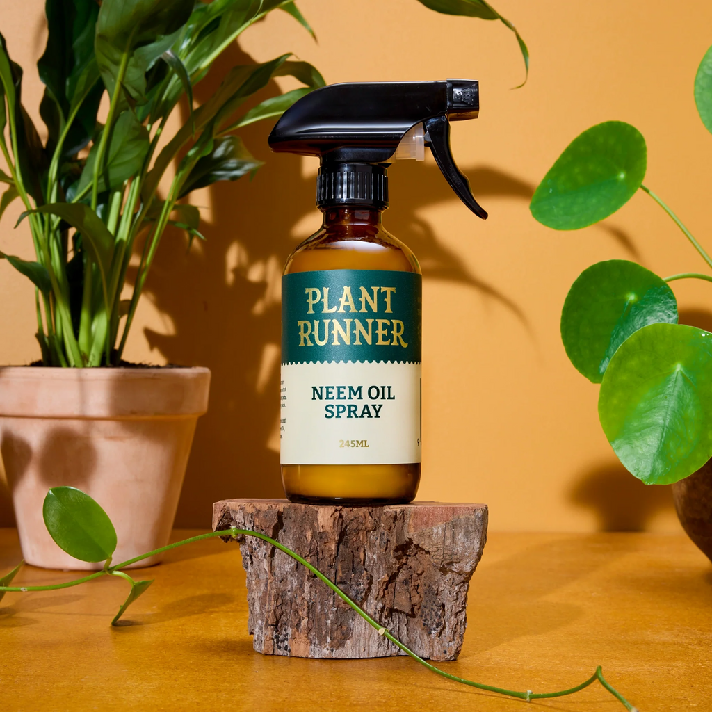 Bottle of Plant Runner Neem Oil with plants in the background