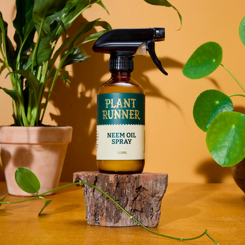 Bottle of Plant Runner Neem Oil with plants in the background