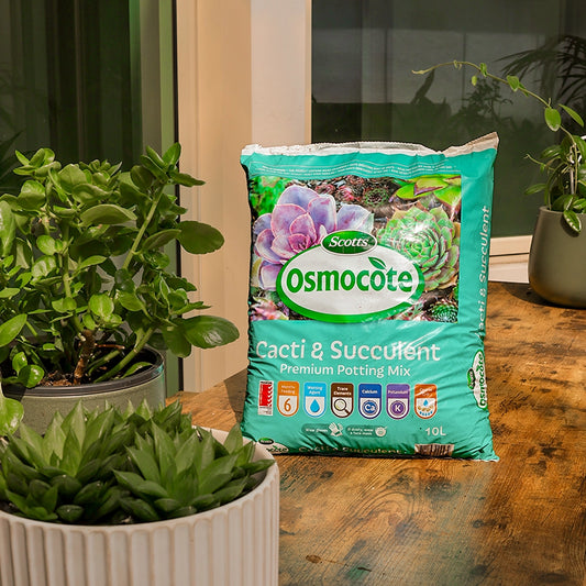 Cacti & Succulent Potting Mix 10L