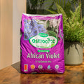 A 10L bag of African Violet Mix