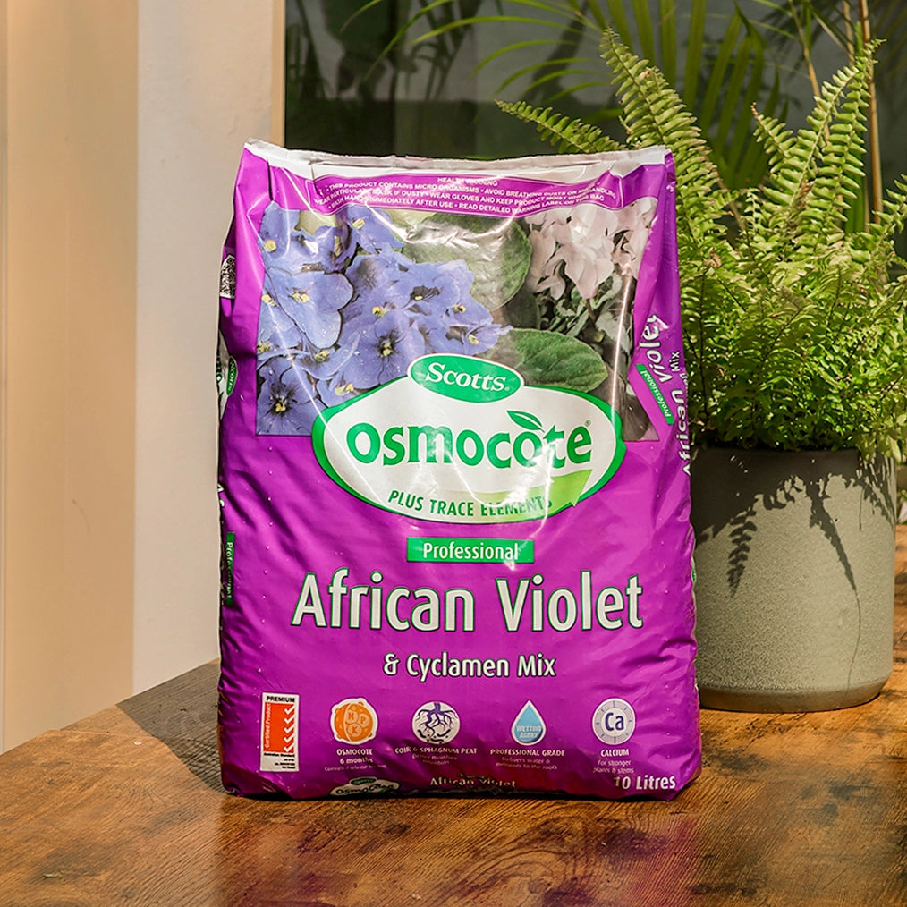 A 10L bag of African Violet Mix