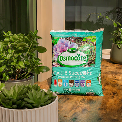 A 10L bag of Cacti & Succulent Potting Mix