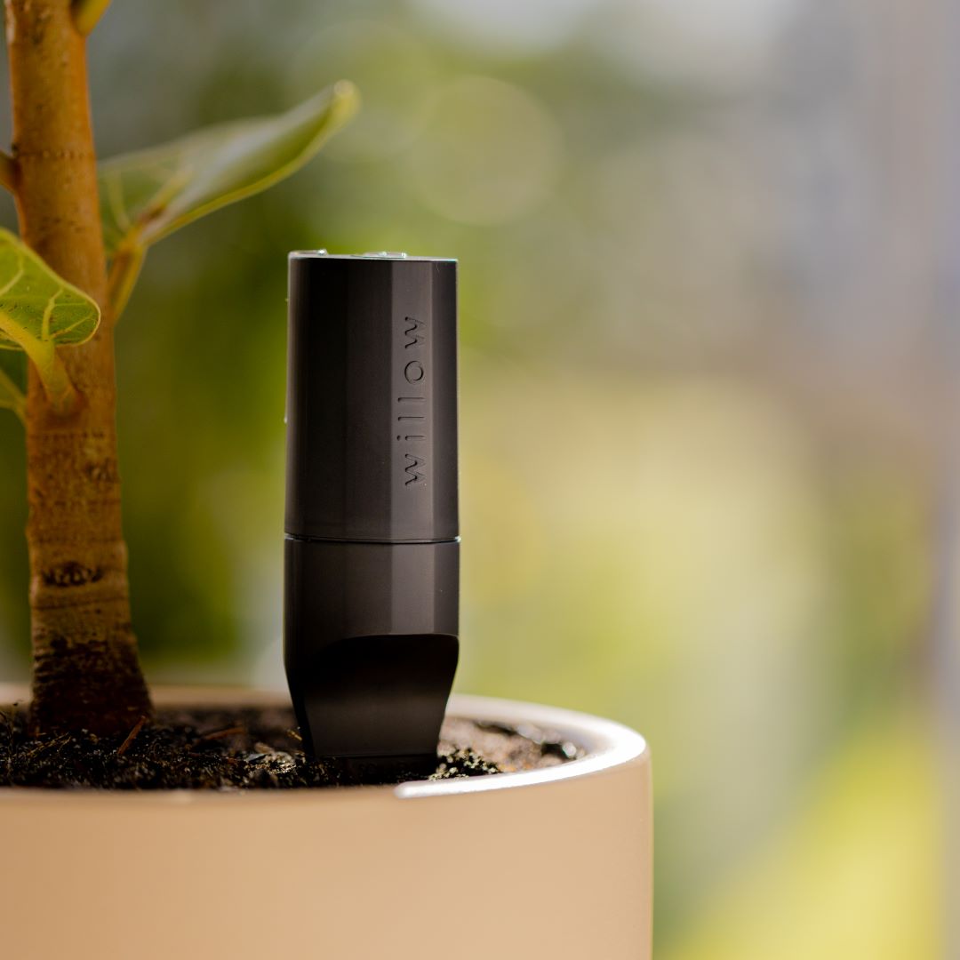 Smart Plant Sensor – Willow