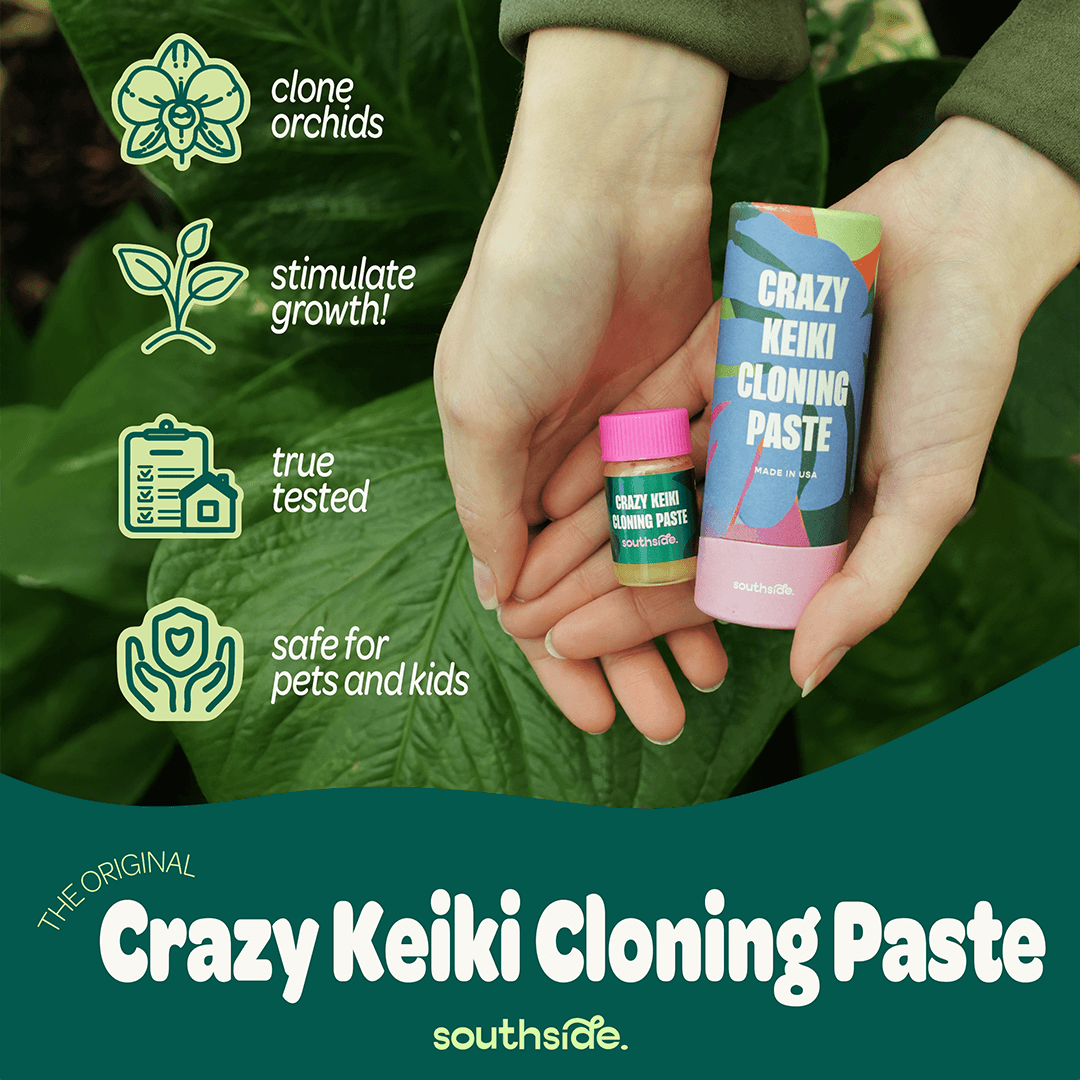 Keiki Cloning Paste