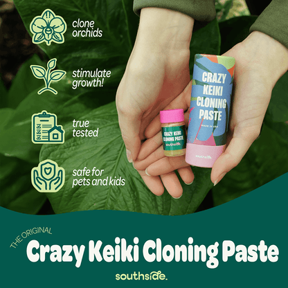 Keiki Cloning Paste