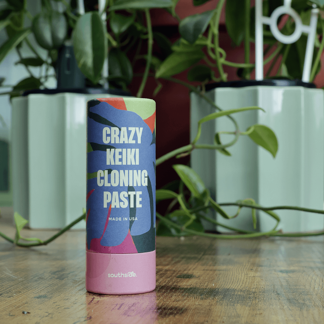 Crazy Keiki Cloning Paste container on a wooden surface with plants in the background