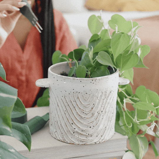 urban jungle plant pots Urban Jungle