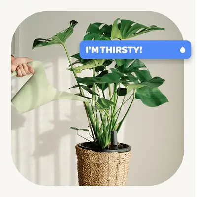 Sensor saying I'm thirsty