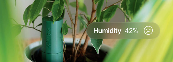 Willow humidity meter