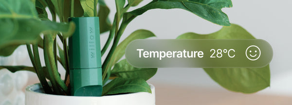 Willow humidity meter
