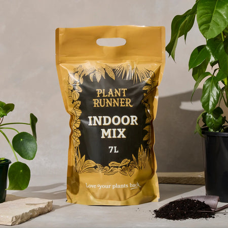 Indoor Potting Mix