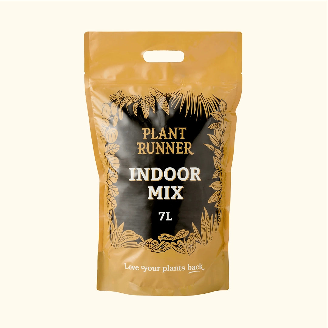 Indoor Potting Mix