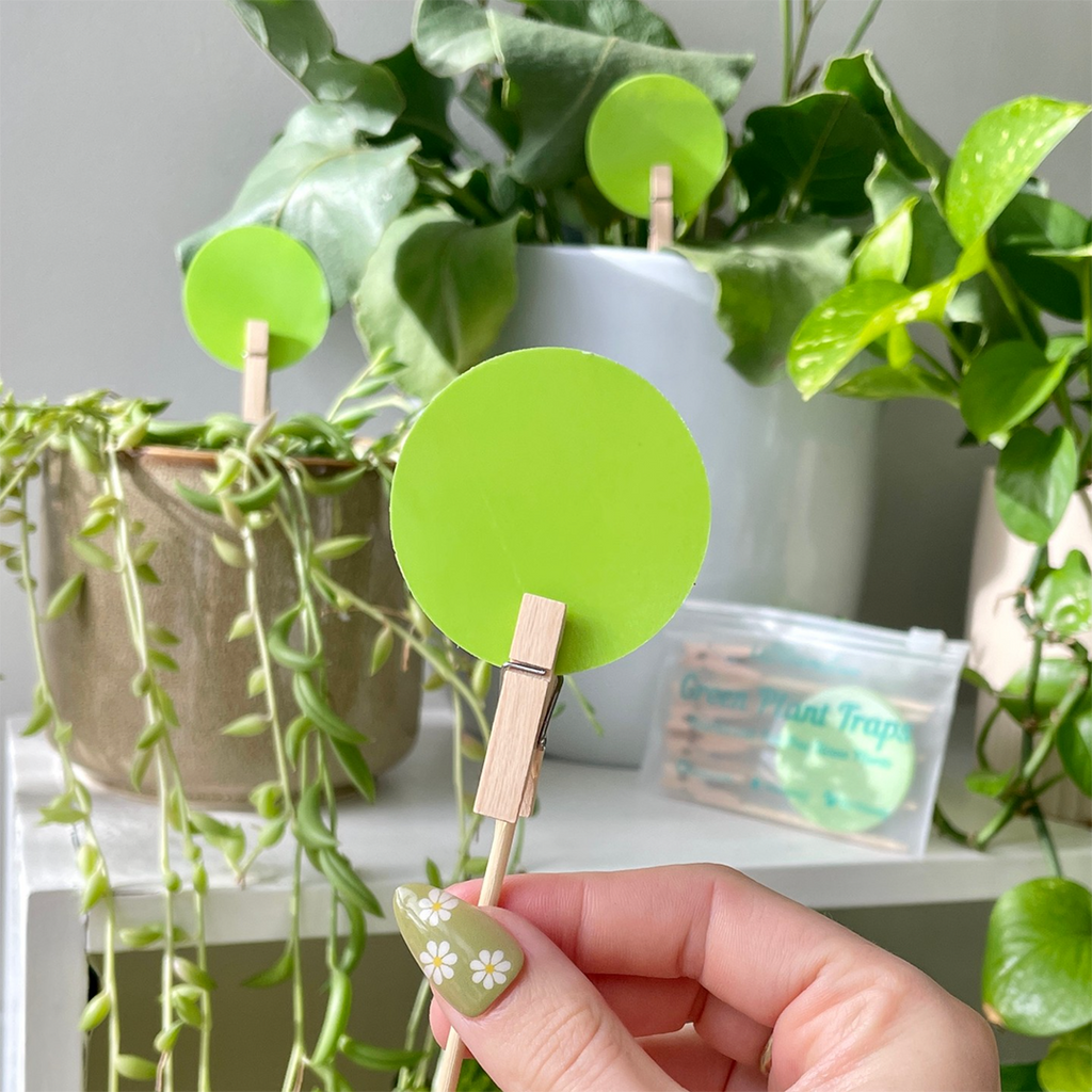 Green Sticky Traps 10 Pack