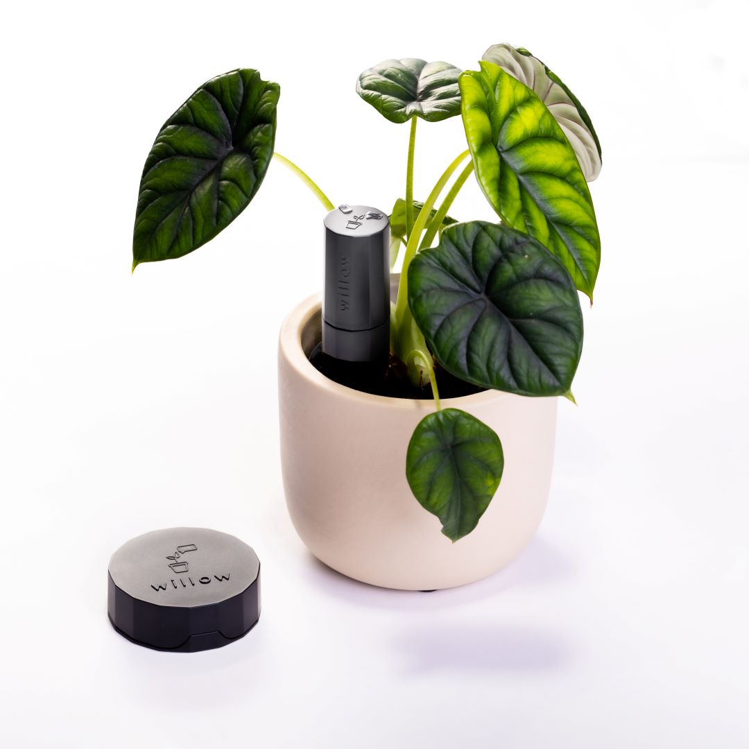 smart plant sensor and hub