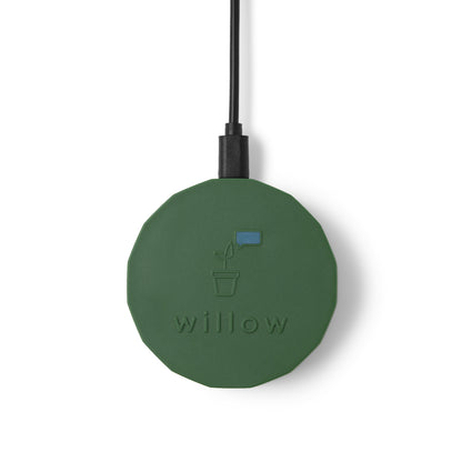Willow Kit