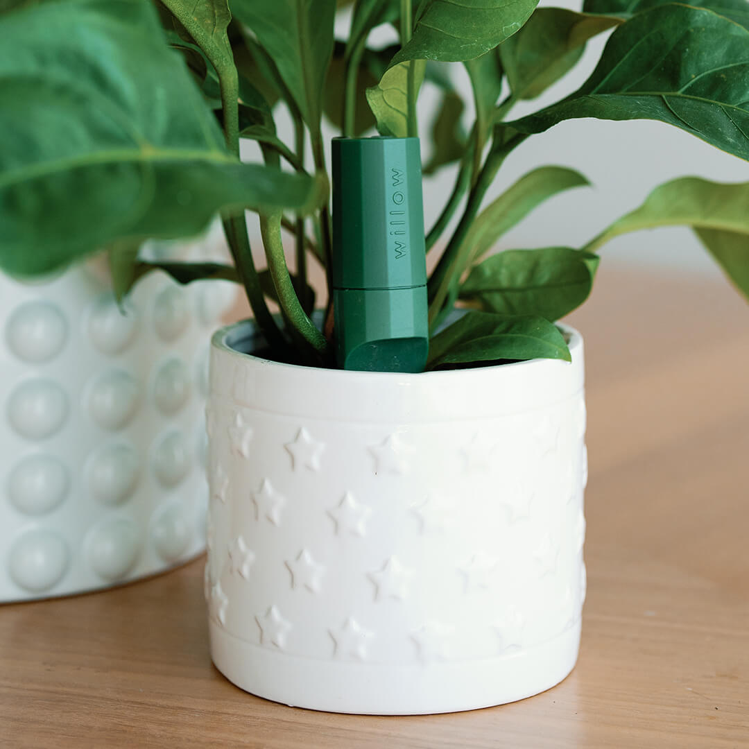 smart indoor plant Sensor